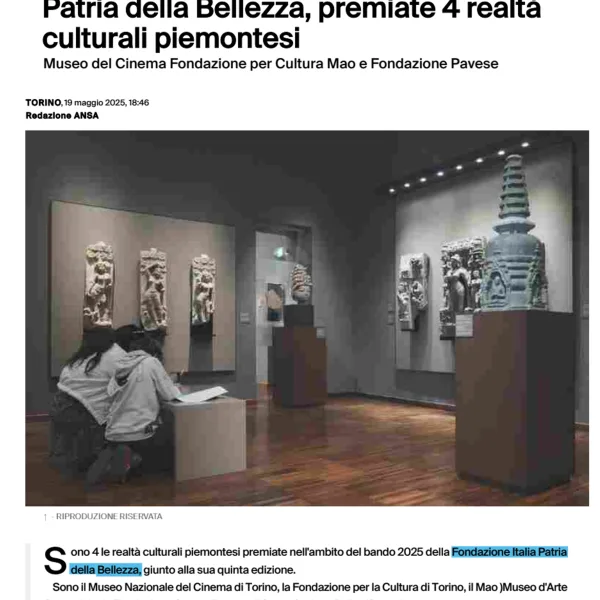 Ansa 4 realta piemontesi