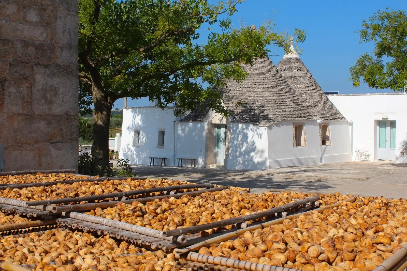 FOTO TRULLO FICHI SECCHI I Giardini di Pomona