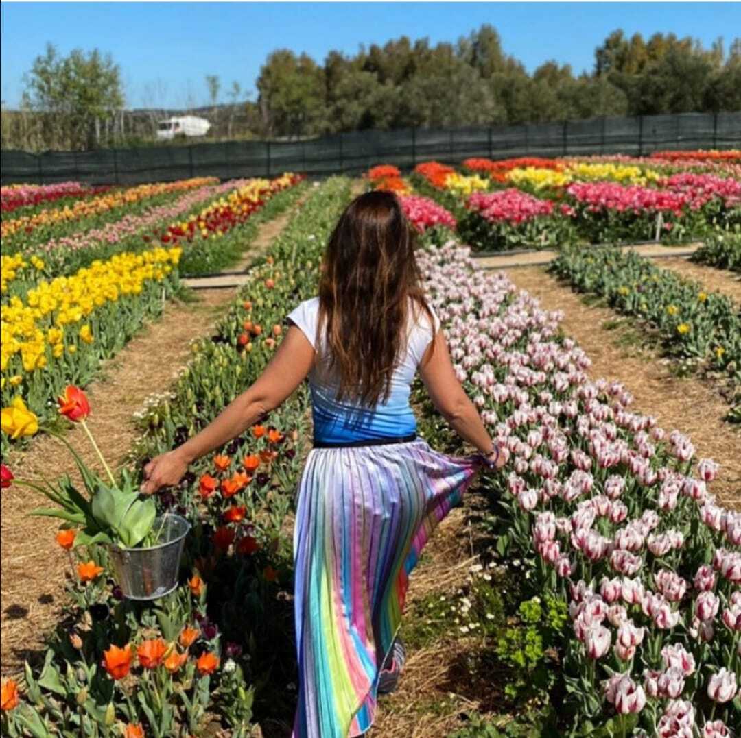 Il giardino di Lu