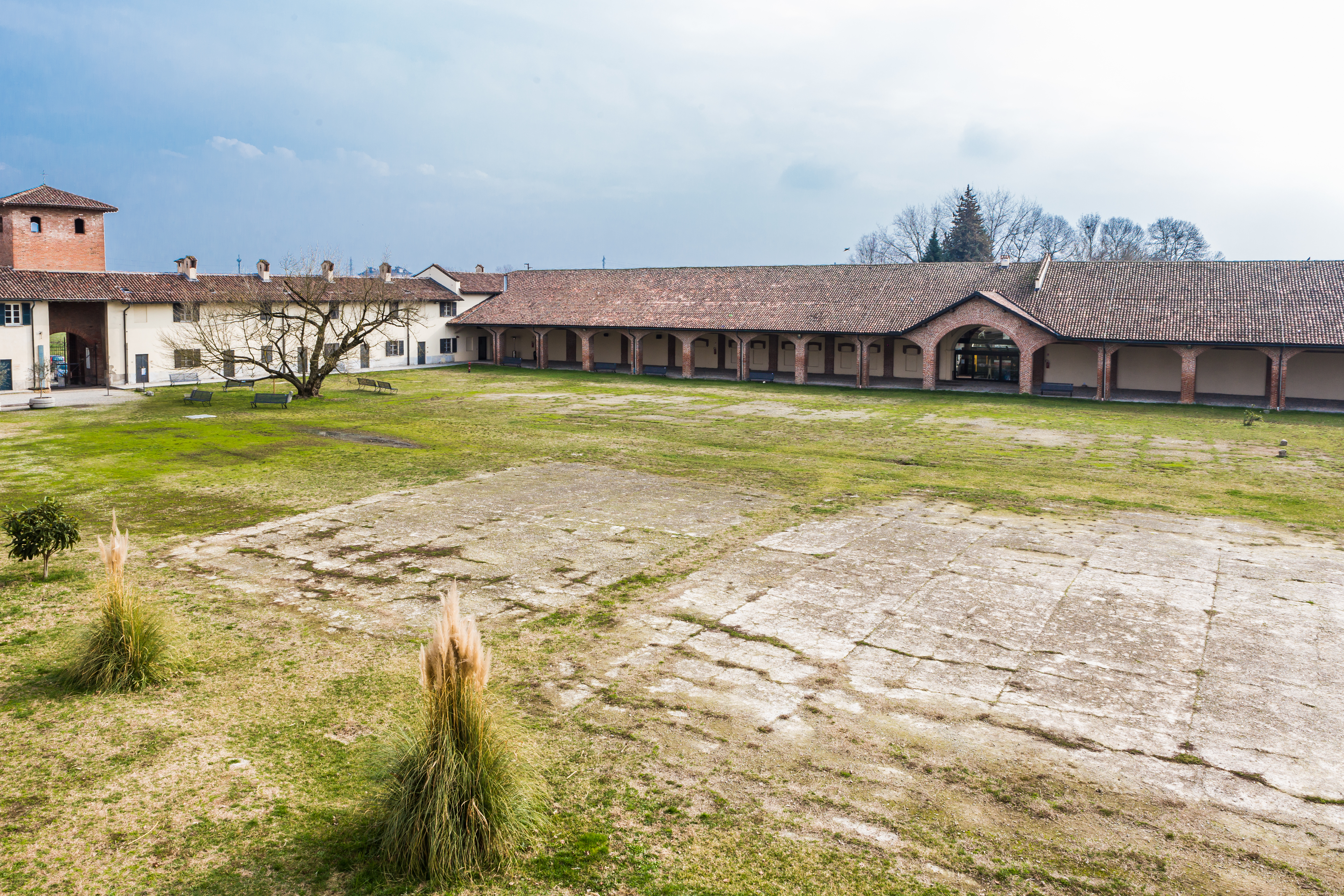 Mirasole 026