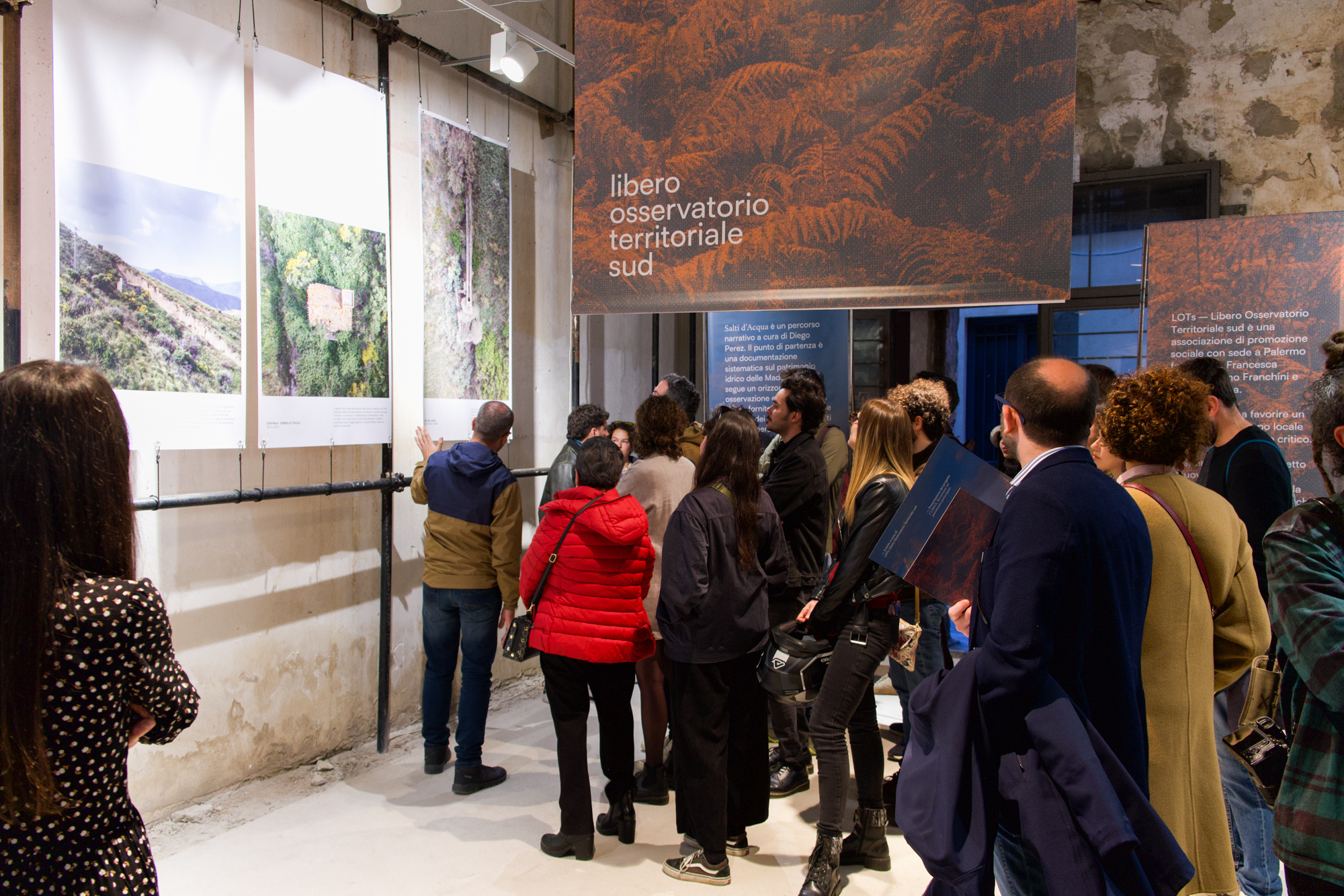 Mostra LO Ts 14