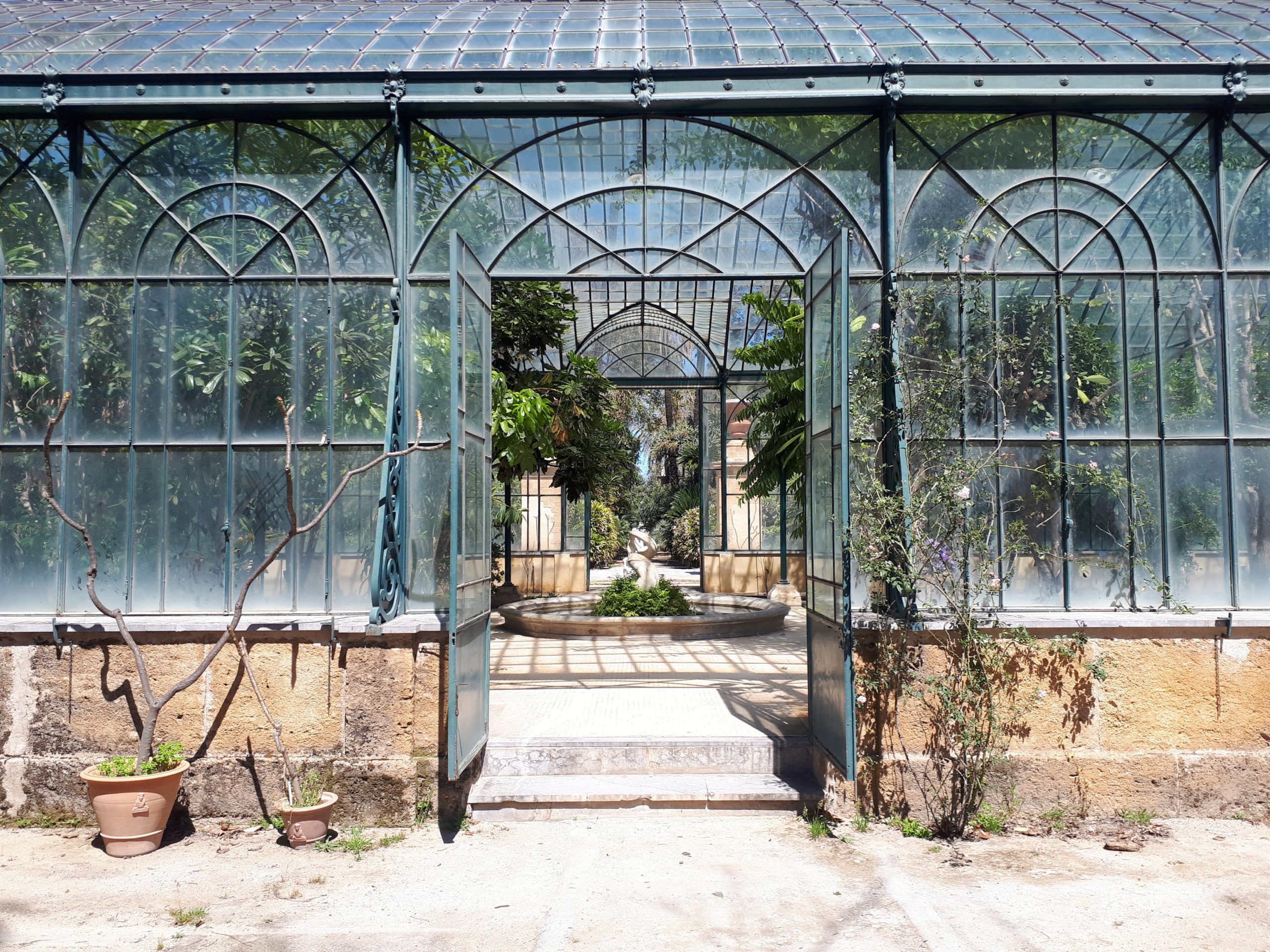 Orto botanico Palermo scaled