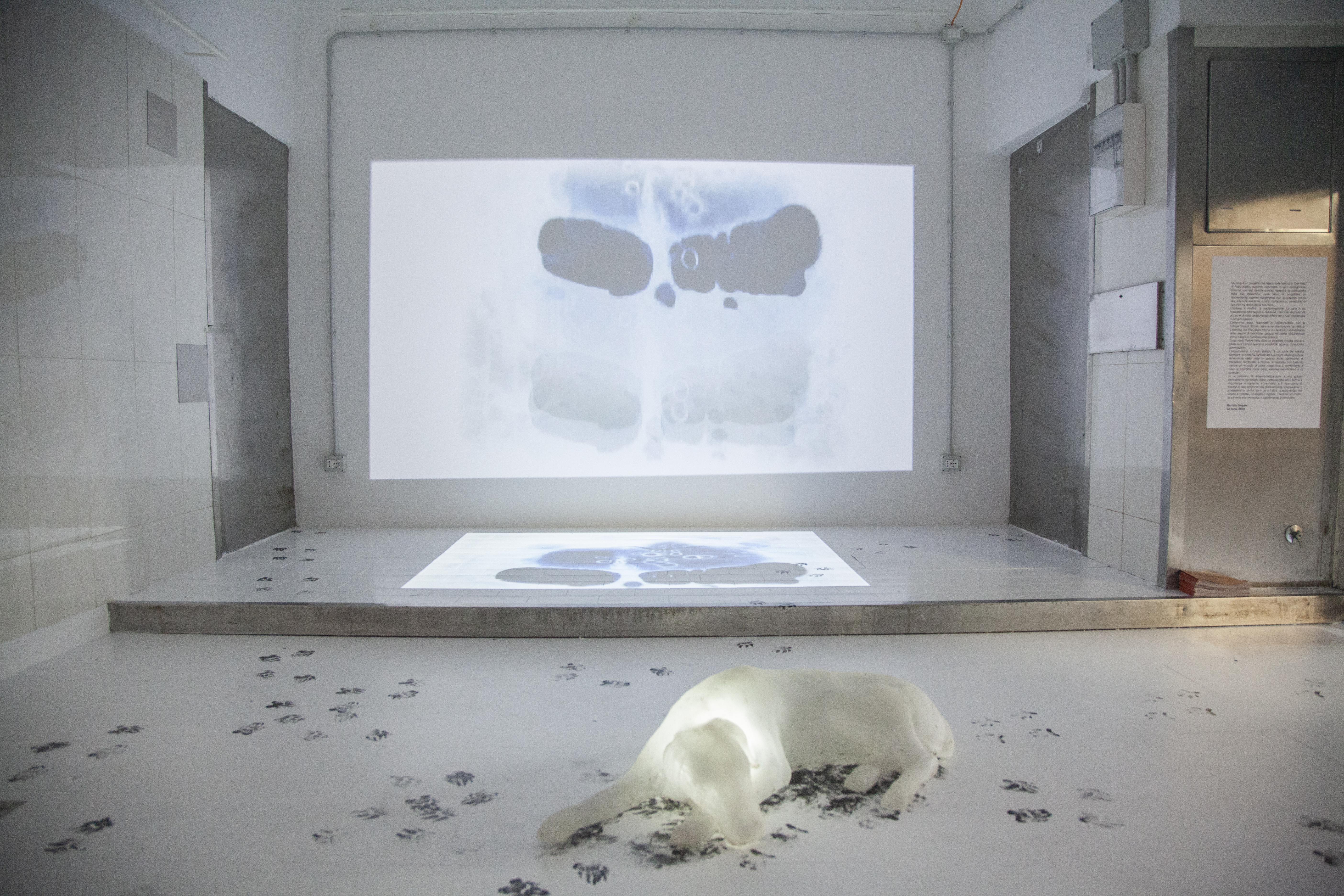 01 Segato Mazzella 2