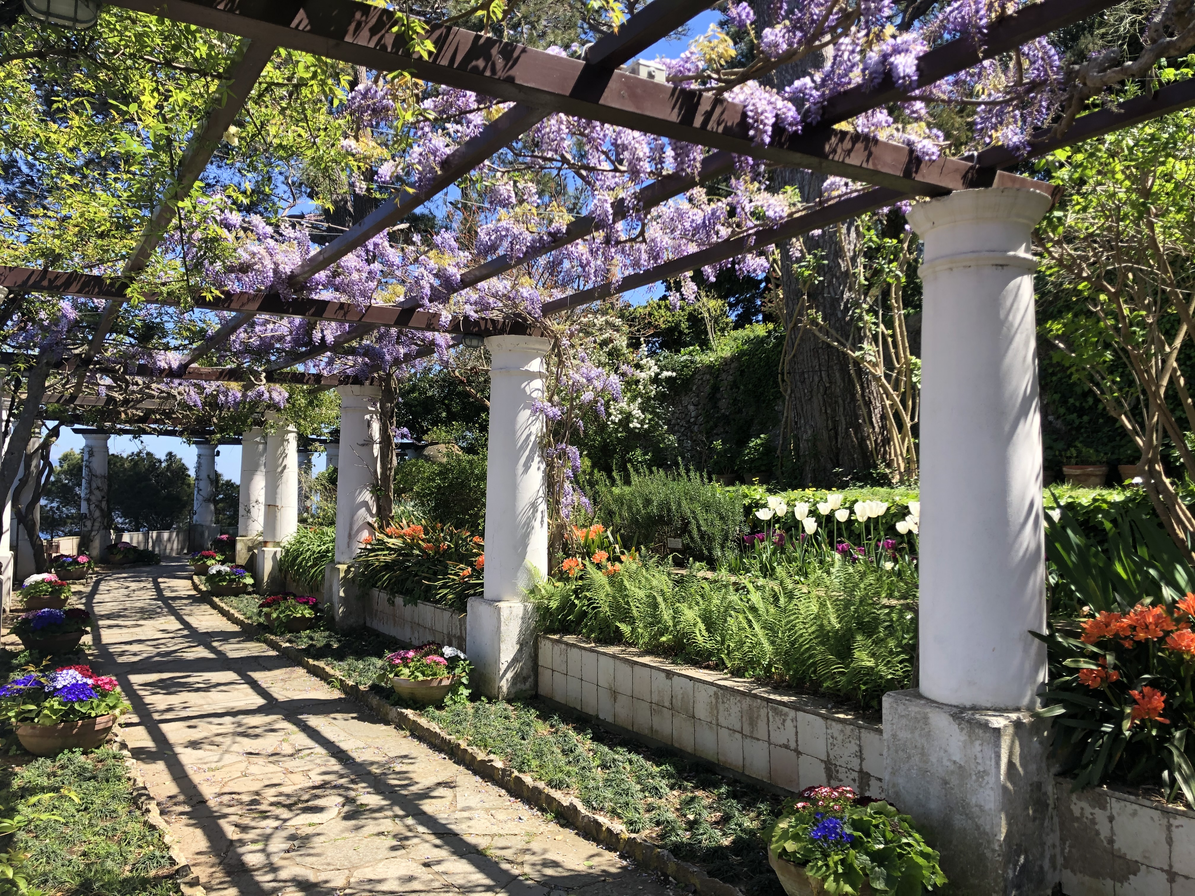 23 Pergolato Villa San Michele