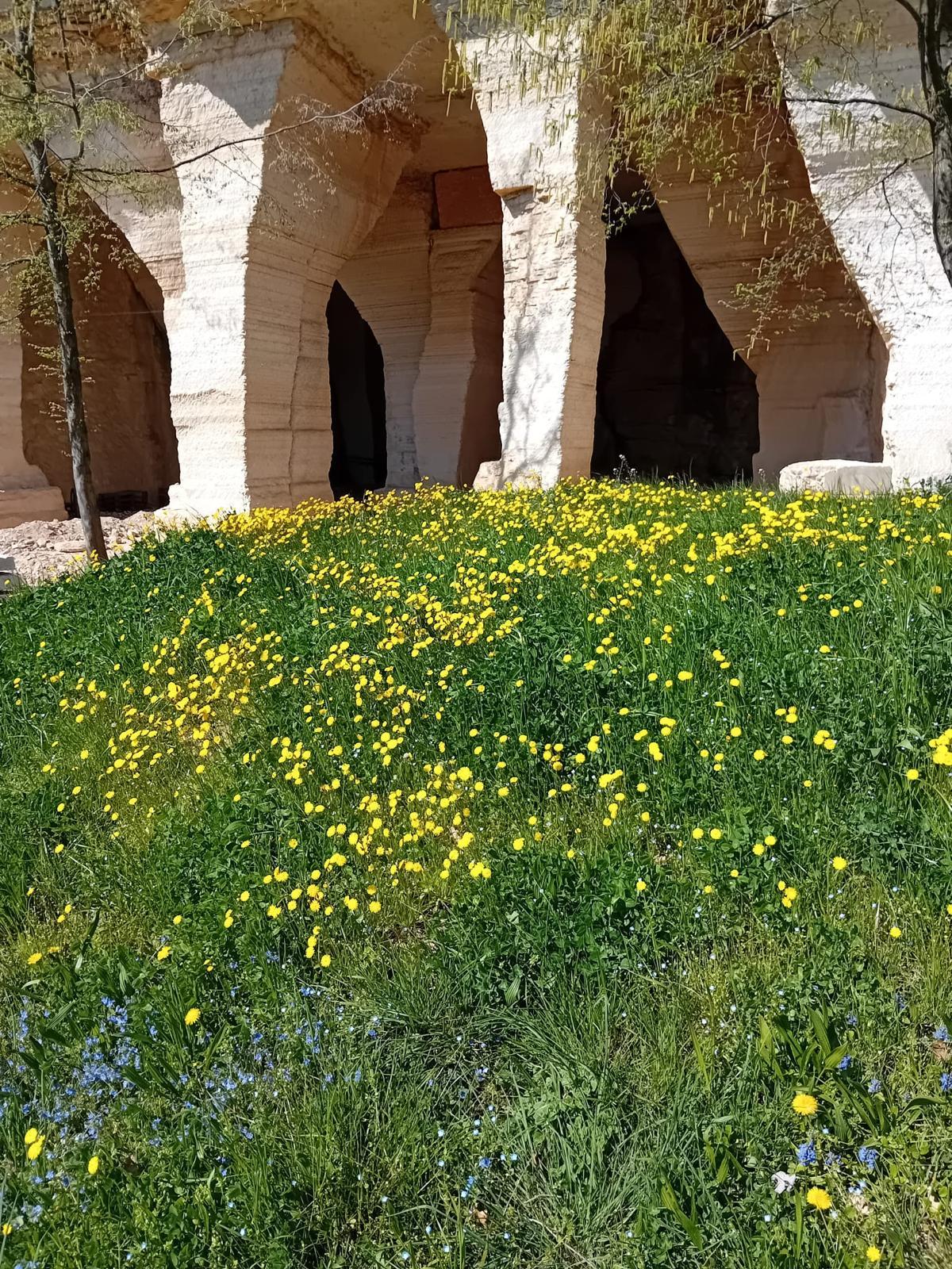 Associazione Italiana di Geologia e Turismo