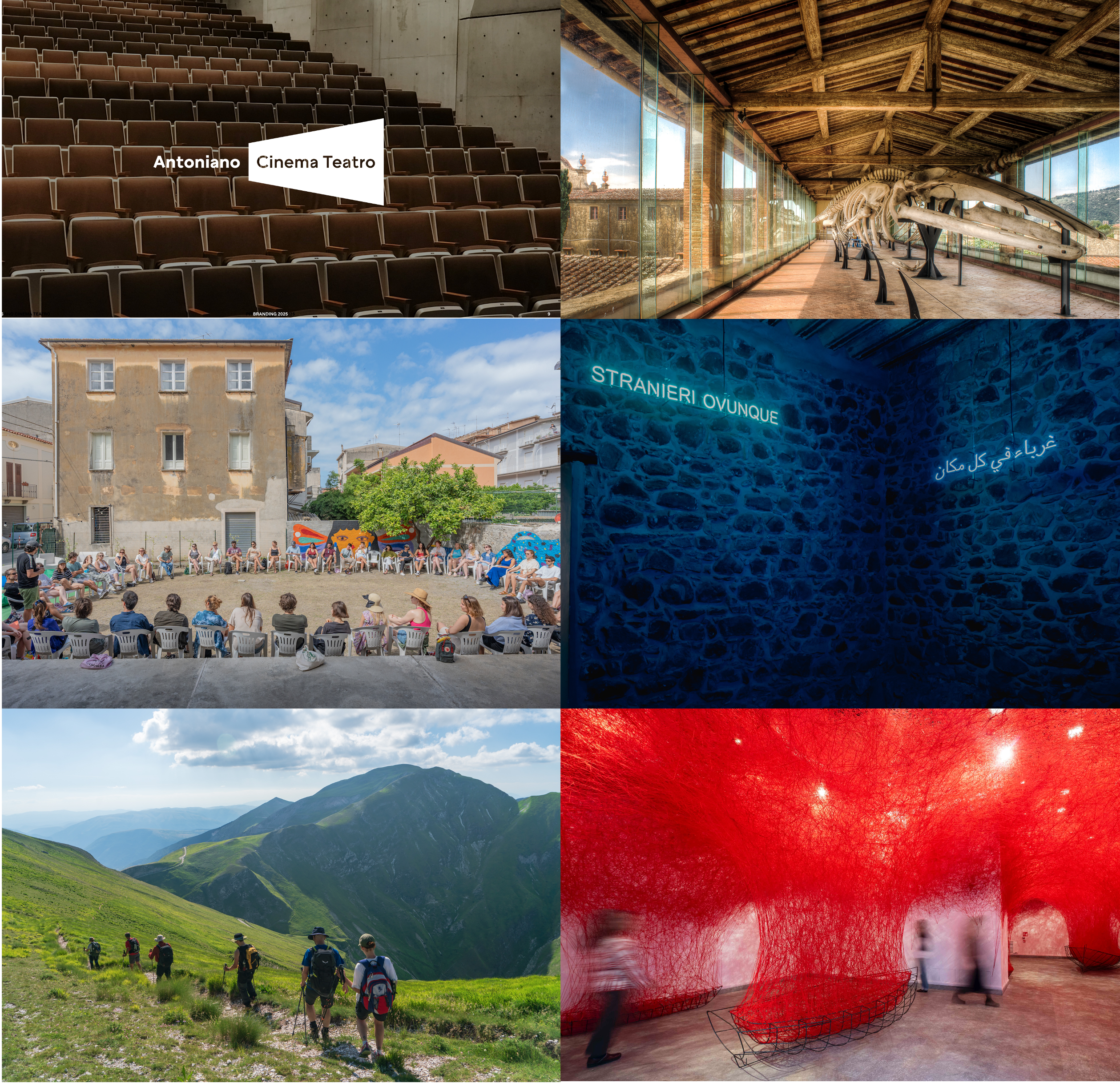 Immagine esito bando 2026