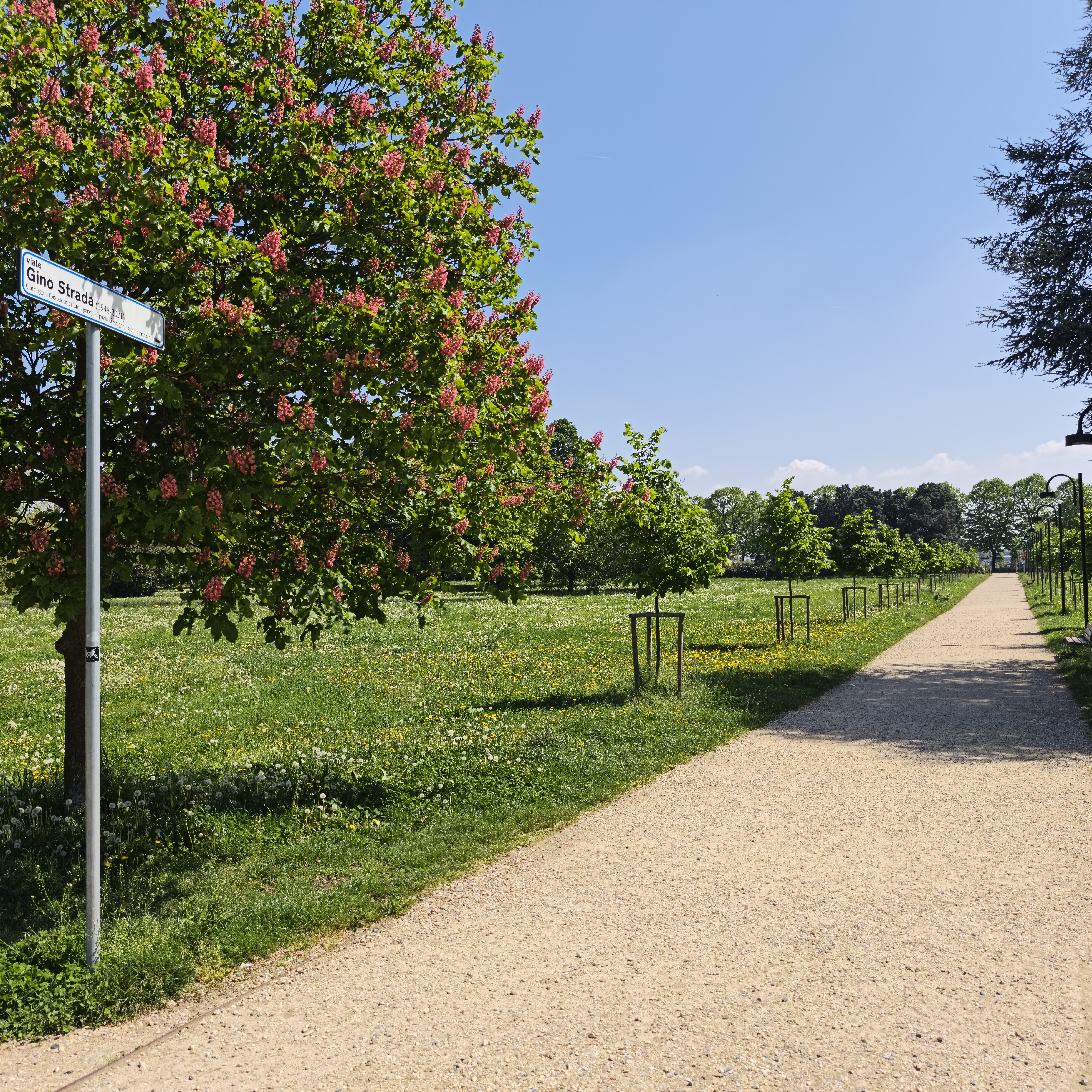 QUAD Viale Gino Strada