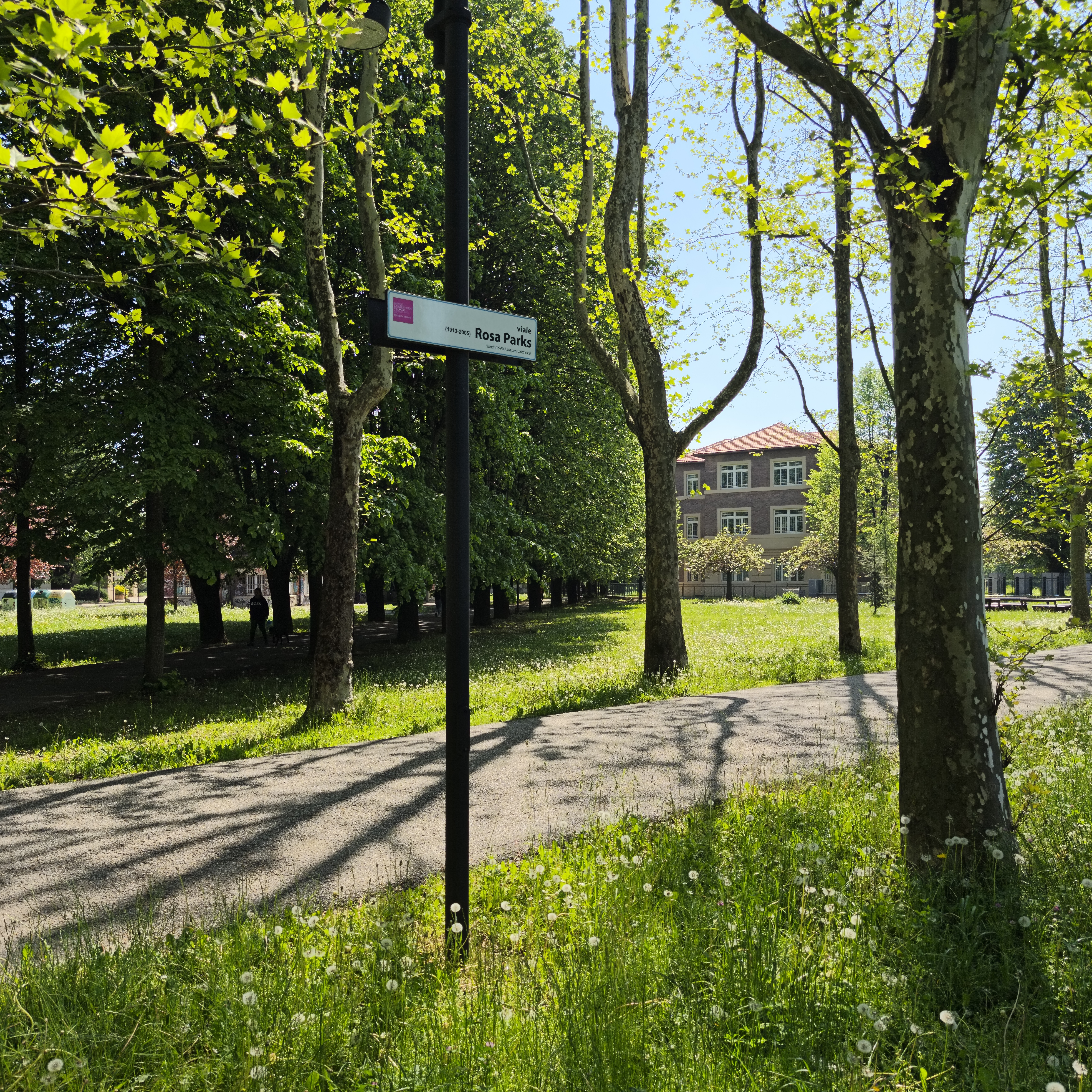 QUAD Viale Rosa Parks