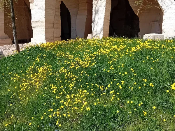 Associazione Italiana di Geologia e Turismo