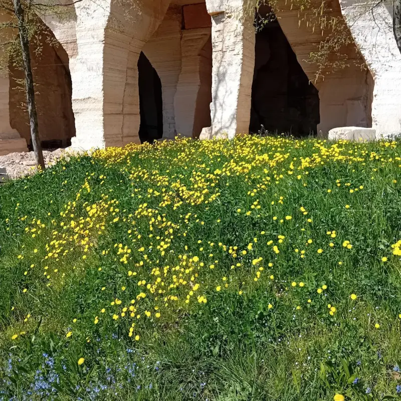 Associazione Italiana di Geologia e Turismo
