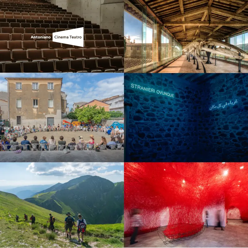 Immagine esito bando 2026