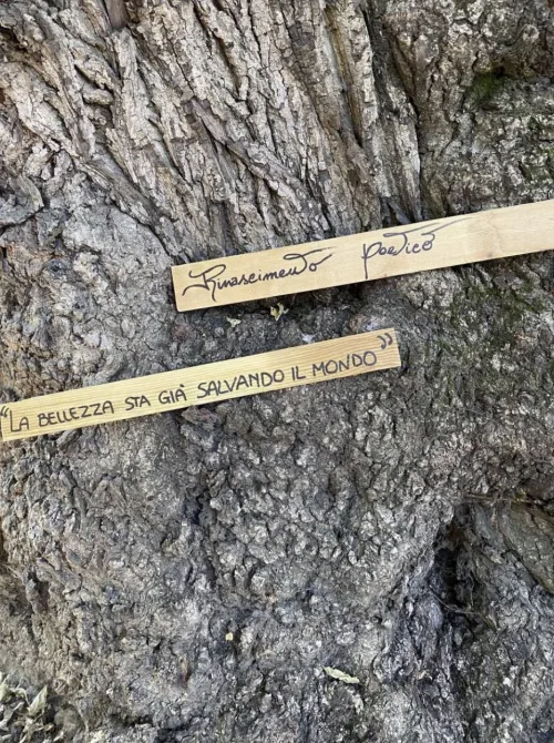 Rinascimento poetico 1