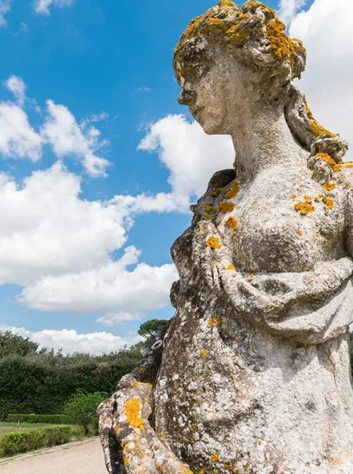 DSC1100 uai 1400215787