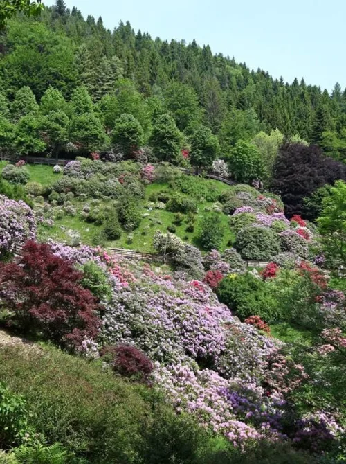 51 BIELLA RISERVA ZEGNA