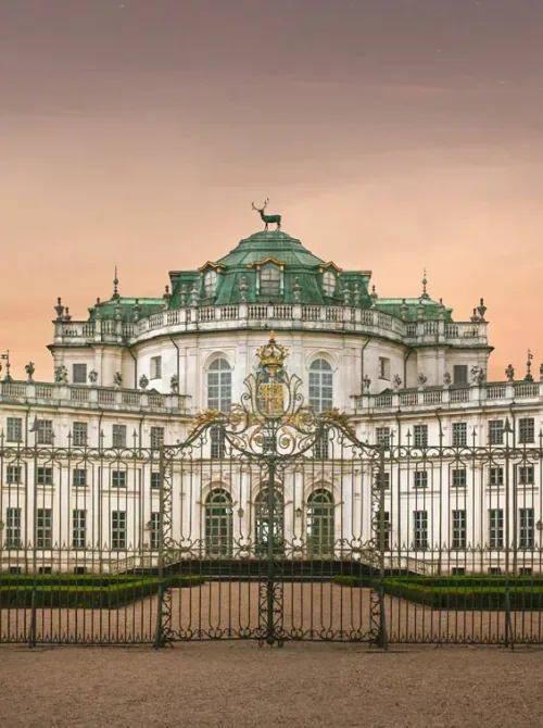 Una notte palazzina caccia stupinigi 2021