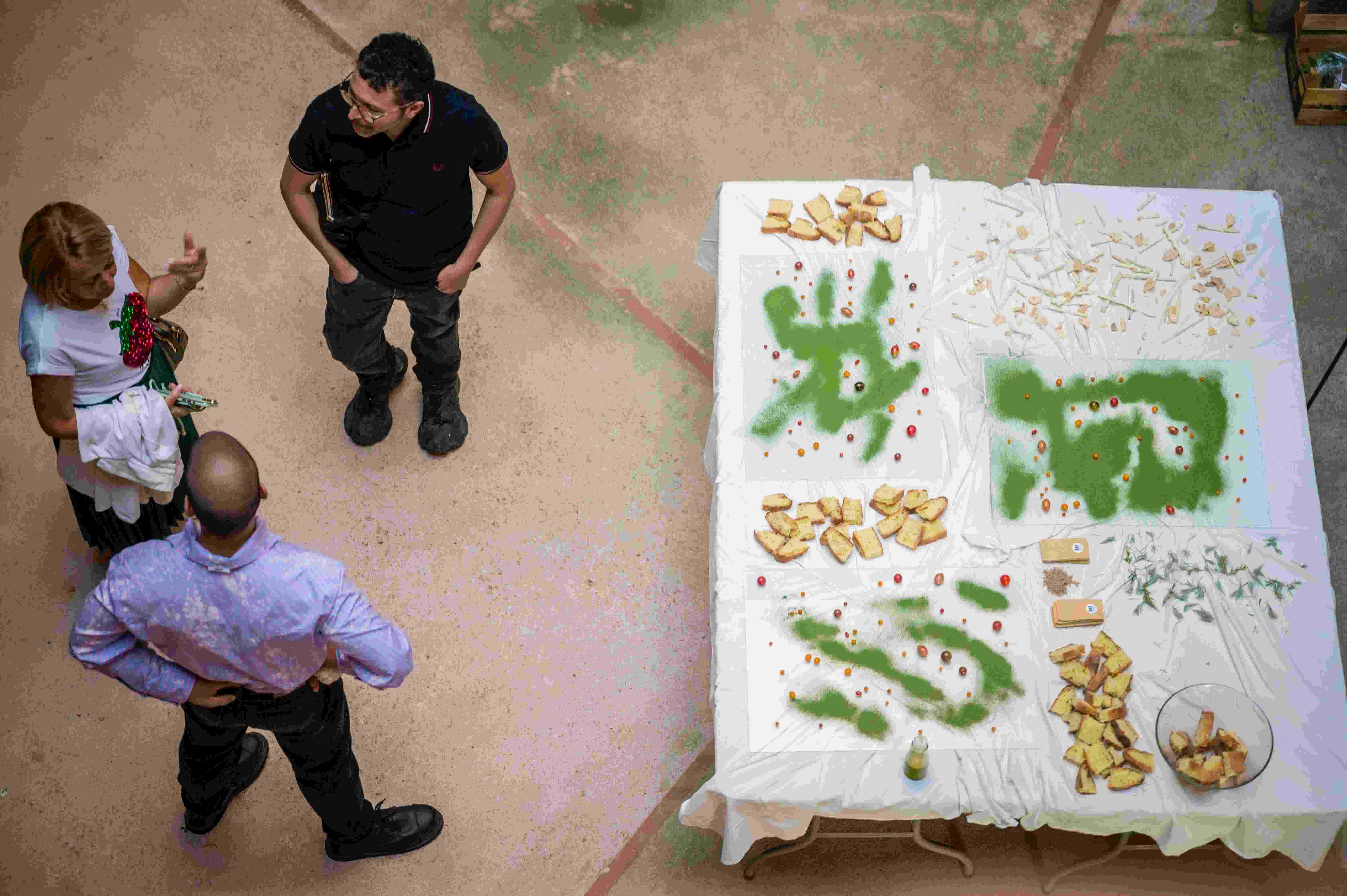 Aterraterra Postvarietal Communities Ph Robert Goodman 22