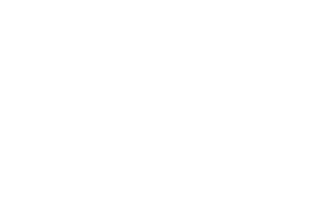 Logo All Adv