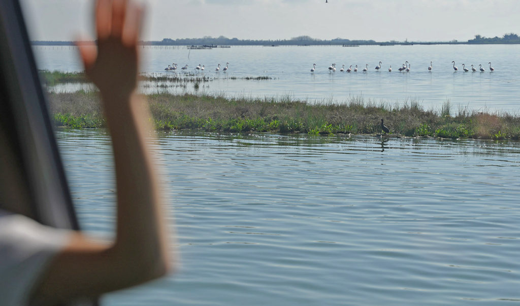 WahV_Venezia_e_Laguna_01_Eleonora_Sovrani